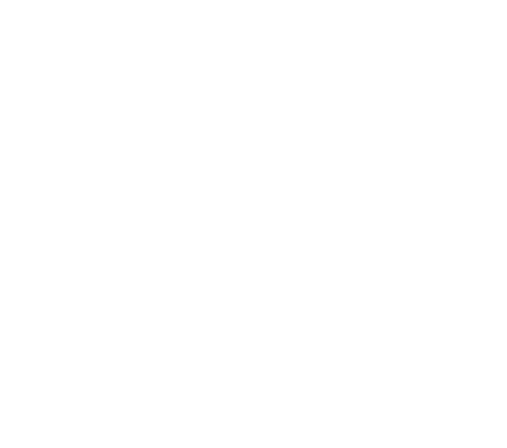 Stone Temple Pilots